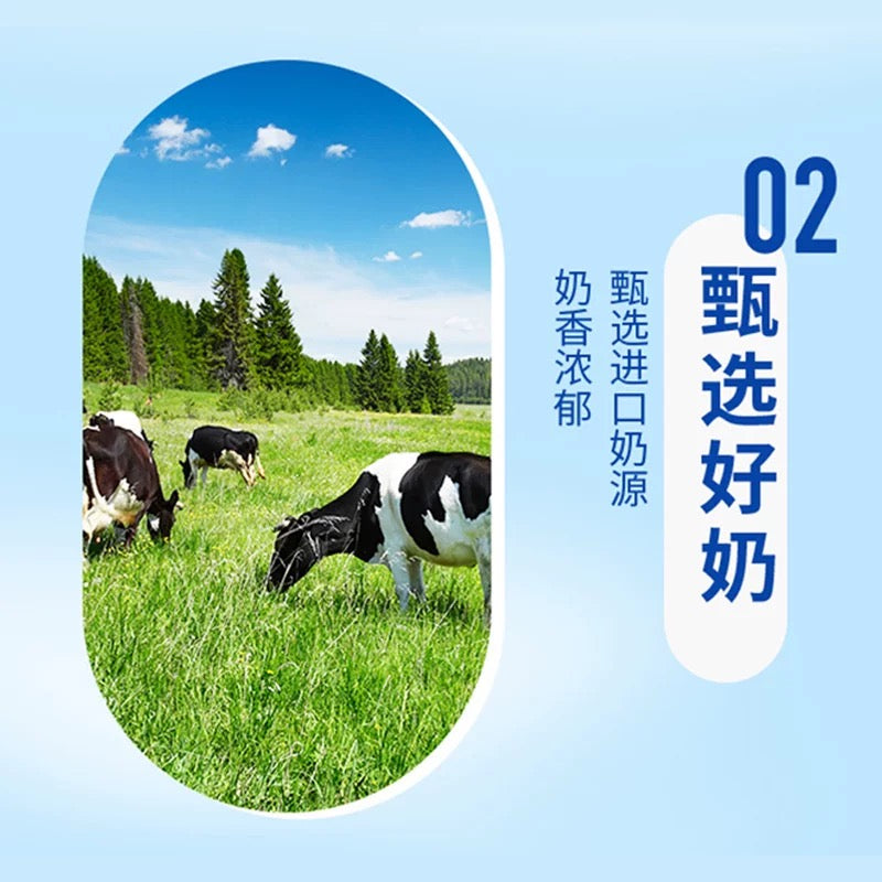 UNI Milk Tea - Assam 500ml - Pinkyy