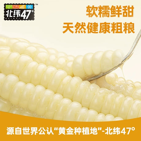 北纬47°玉米尝鲜装【五种口味】