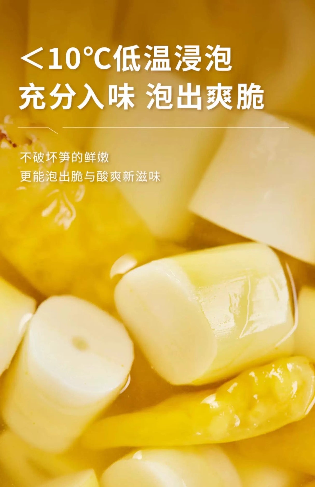 BS Bamboo Shoot - Preserved Chilli Flavour 120g - Pinkyy