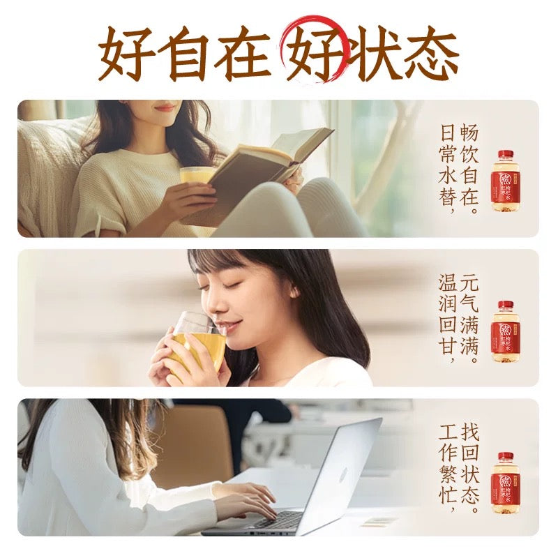 养生人必备元气森林红枣枸杞水 500ml